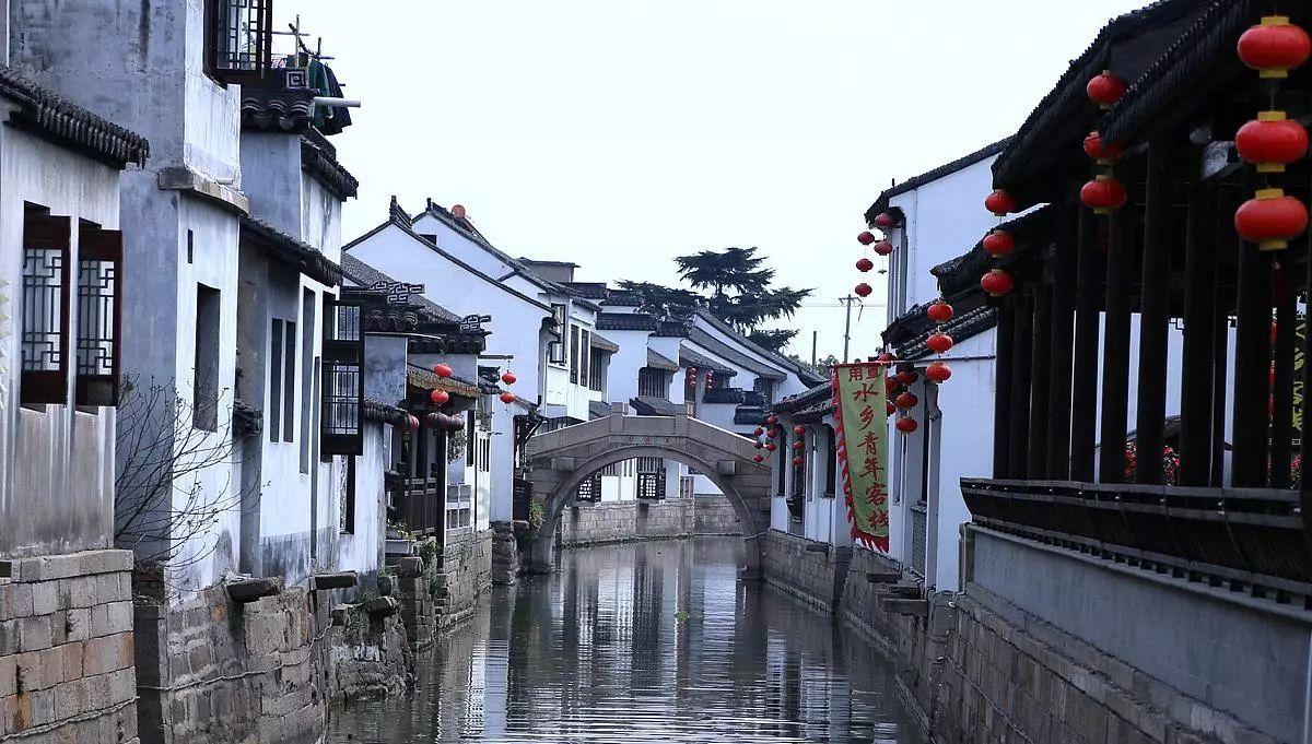 动物帮帮忙保卫家园